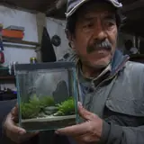 Elmer Becerra