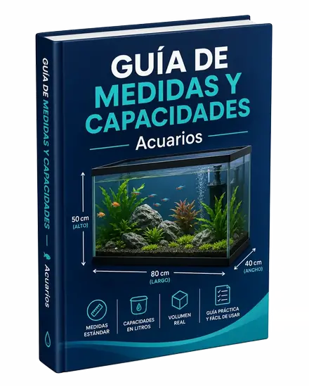 Guía de Medidas y Capacidades