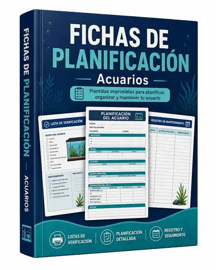 Fichas de Planificación