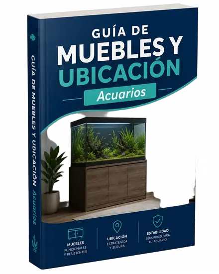 Guía de Muebles y Ubicación