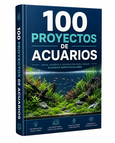 Plan Básico